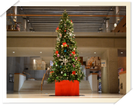 クリスマスツリーを設置しています！