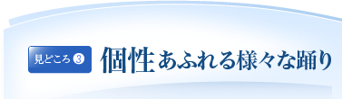 見どころ3：個性あふれる様々な踊り