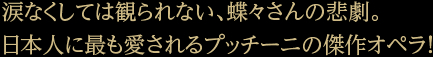 涙なくしては観られない、蝶々さんの悲劇。日本人に最も愛されるプッチーニの傑作オペラ！