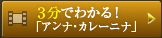 3分でわかる！アンナ・カレーニナ