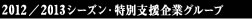 2012/2013シーズン特別支援企業グループ