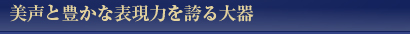 美声と豊かな表現力を誇る大器
