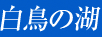 白鳥の湖