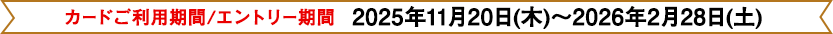 カードご利用期間/エントリー期間：2025年11月20日(木)～2026年2月28日(土)