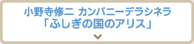 小野寺修二 カンパニーデラシネラ 「ふしぎの国のアリス」