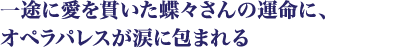 一途に愛を貫いた蝶々さんの運命に、オペラパレスが涙に包まれる