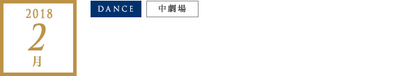 2018年 2月｜高谷史郎（ダムタイプ）「ST/LL」