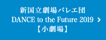 新国立劇場バレエ団 DANCE to the Future 2019