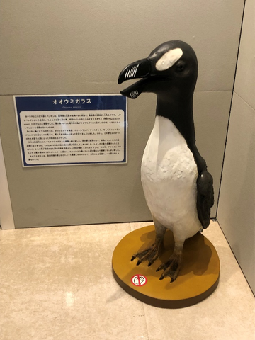 penguin.png