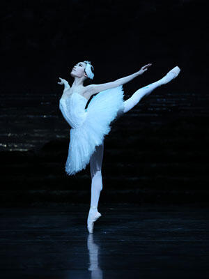 yoshida-swanlake300.jpg