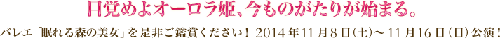 目覚めよオーロラ姫、今ものがたりが始まる。バレエ「眠れる森の美女」を是非ご鑑賞ください！ 2014年11月8日（土）～11月16日（日）公演！