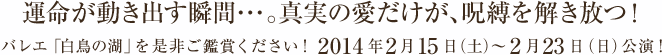 運命が動き出す瞬間･･･。真実の愛だけが、呪縛を解き放つ！バレエ「白鳥の湖」を是非ご鑑賞ください！ 2014年2月15日（土）縲鰀2月23日（日）公演！