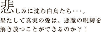 悲しみに沈む白鳥たち…。果たして真実の愛は、悪魔の呪縛を解き放つことができるのか?!