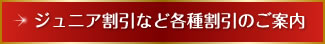 ジュニア割引など各種割引のご案内