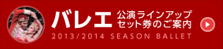 バレエ公演ラインアップセット券のご案内　2013／2014 SEASON BALLET