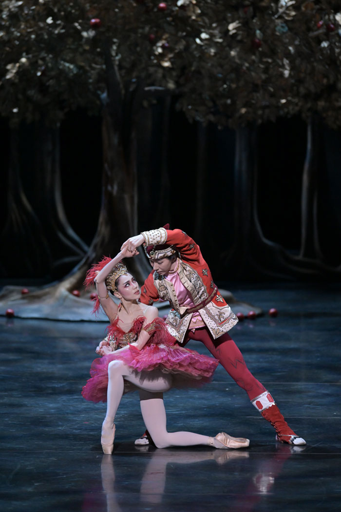 『火の鳥』イワン王子 『火の鳥』イワン王子