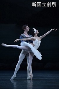 swanlake2015.JPG