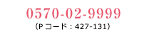 チケットぴあ 0570-02-9999（Pコード：427-131）