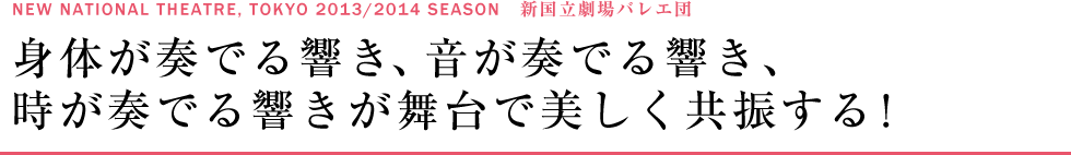 NEW NATIONAL THEATRE, TOKYO 2013/2014 SEASON　新国立劇場バレエ団　身体が奏でる響き、音が奏でる響き、時が奏でる響きが舞台で美しく共振する！