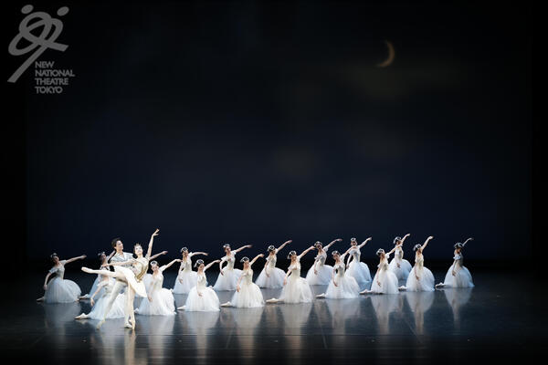 ★logodream__1B0930 のコピー.jpg