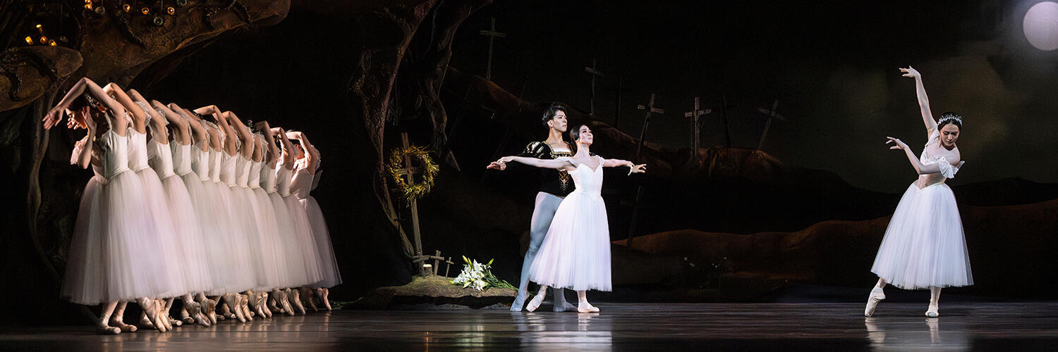 The Return Project (London Performances 2025) Giselle Performances in Fukuoka and Hyogo