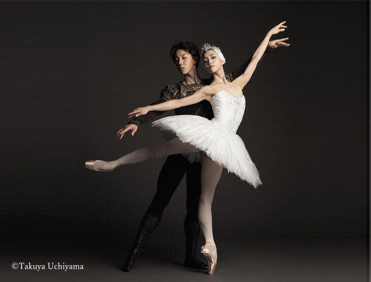 SWAN LAKE