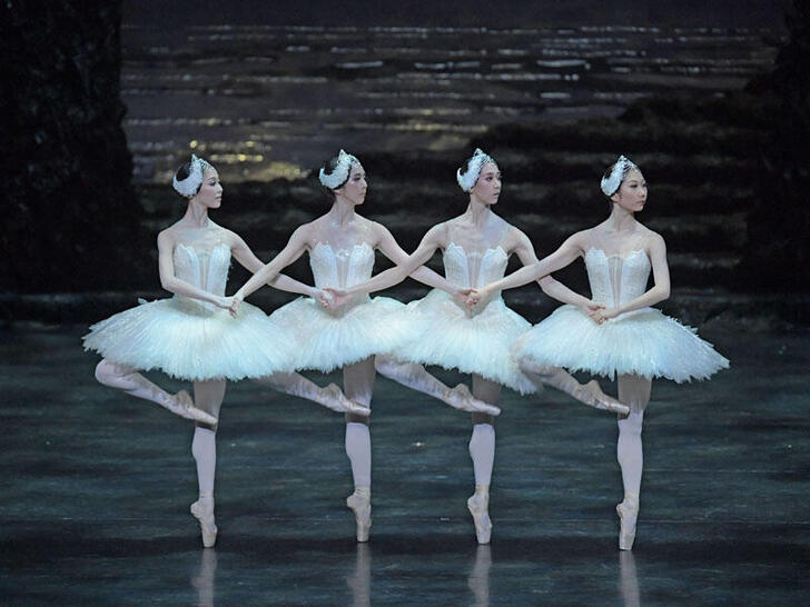 Swan Lake -Act 2 Cygnets