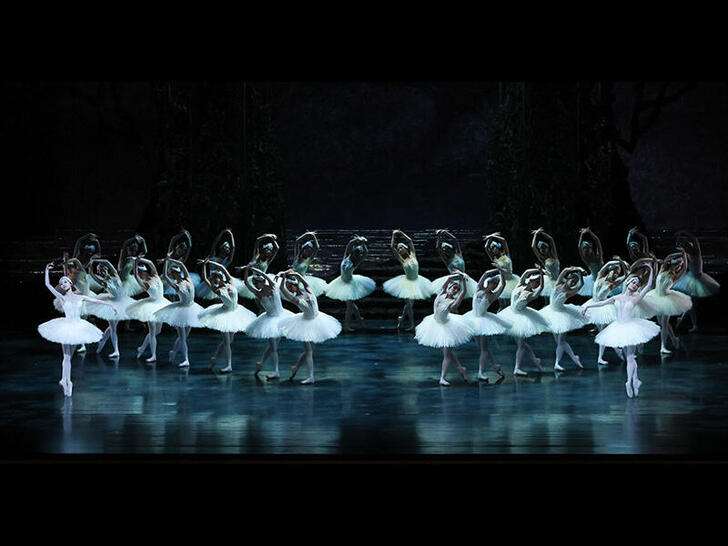 Swan Lake