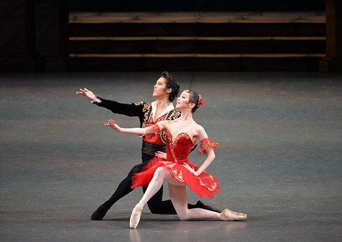 Grand Pas de Deux from 