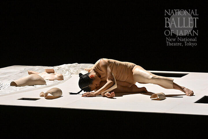 _ABE3263 のコピー.jpg