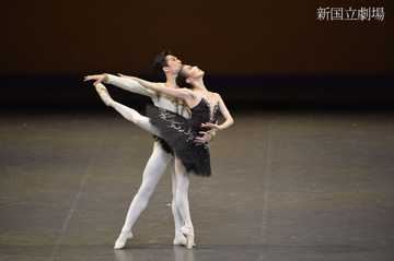 asteras2014_swan-lake.jpg