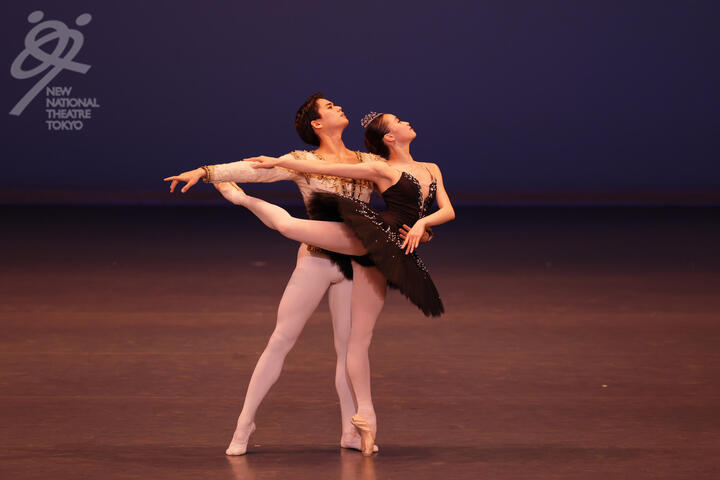 r⑤黒鳥★0503 のコピー.jpg