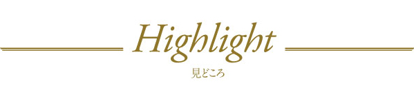 Highlight　見どころ