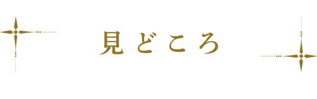 見どころ