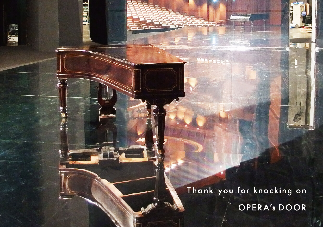 22.Thank you for Knocking on OPERA's Door