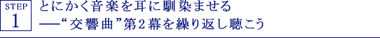 STEP1 とにかく音楽を耳に馴染ませる———“交響曲”第2幕を繰り返し聴こう