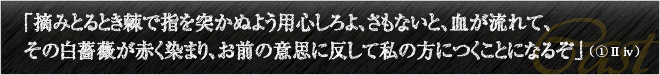 「摘みとるとき棘で指を突かぬよう用心しろよ、さもないと、血が流れて、その白薔薇が赤く染まり、お前の意思に反して私の方につくことになるぞ」