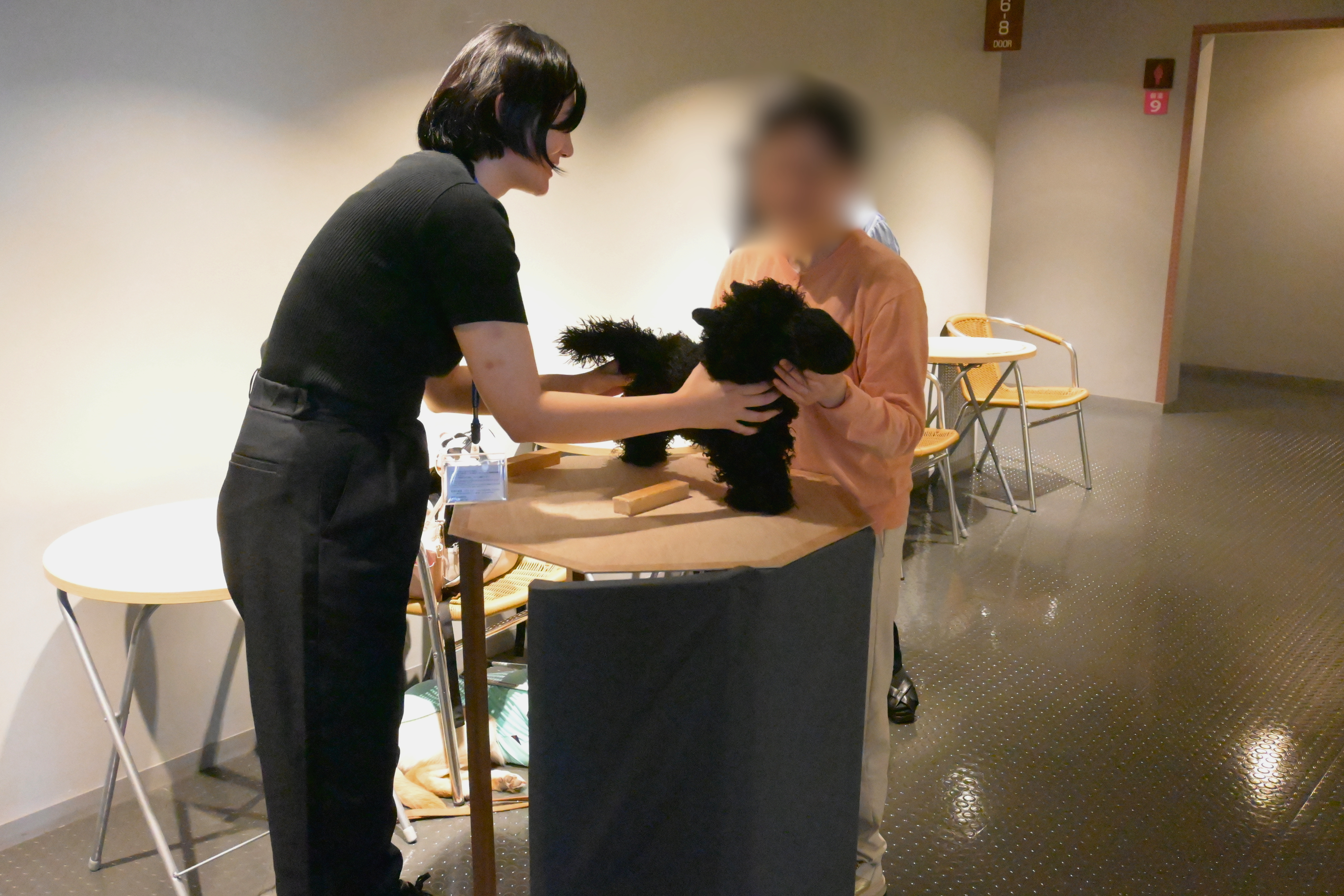 小道具触る模型