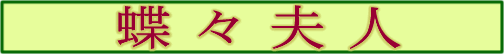 蝶々夫人
