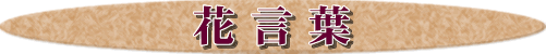 花言葉